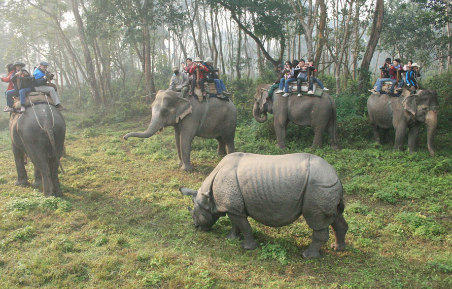 India Jungle Safari Tour
